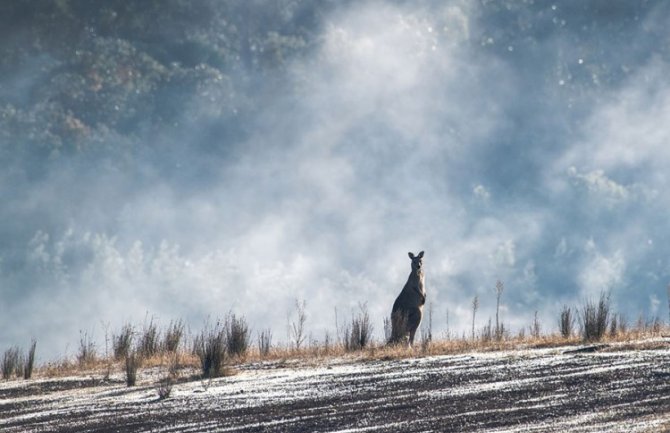 Veliki dio Australije zahvaćen ekstreminim toplotnim talasom, 