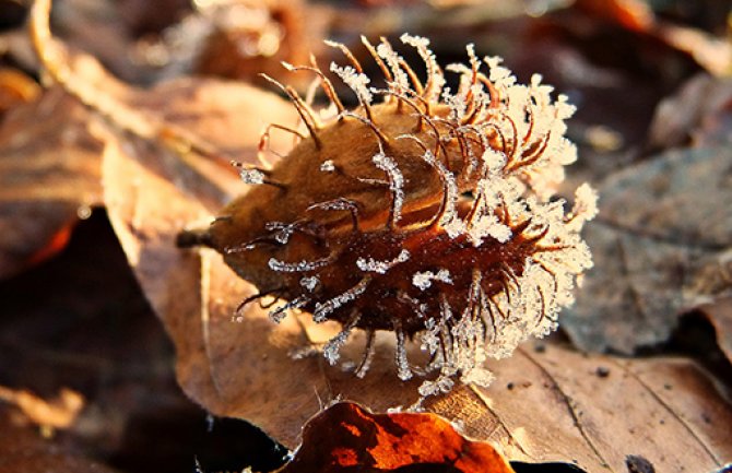 Pretežno oblačno, do 17 stepeni