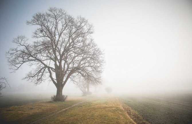 Umjereno oblačno vrijeme sa sunčanim intervalima, na sjeveru magla