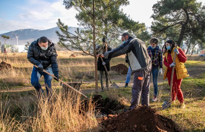 Zasadili 95 sadnica u Zlatičkoj šumi i vrtiću „Đina Vrbica“