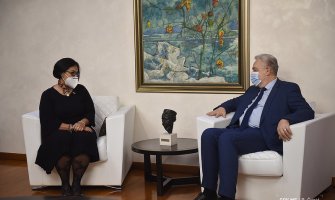 Vlada po pitanju Montenegro AIrlinesa mogla samo da konstatuje zatečeno stanje, ne i da ga promijeni