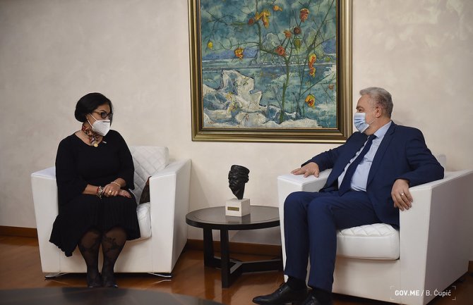 Vlada po pitanju Montenegro AIrlinesa mogla samo da konstatuje zatečeno stanje, ne i da ga promijeni