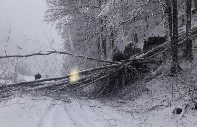 CEDIS: Dio sjevera bio bez struje, ekipe i dalje na terenu (FOTO)