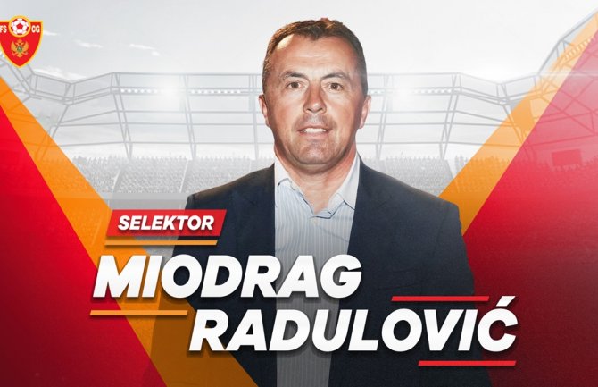 Radulović selektor 