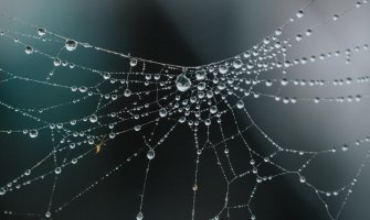 Kiša, na sjeveru povremeno susnježica i snijeg