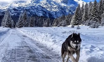 Zabijeljela Crna Gora, najviše snijega na Žabljaku 