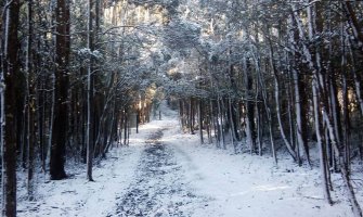 Pretežno sunčano, na sjeveru snijeg
