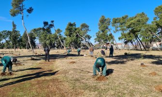 Park-šuma Zlatica od danas bogatija za 500 sadnica