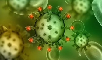 Dr Đikić: Oni koji su prebolovali koronu zaštićeni su 3-8 mjeseci, vakcinisani do godinu,  što prije imunizovati stanovništvo