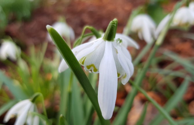 U južnim i centralnim predjelima kiša, na sjeveru suvo