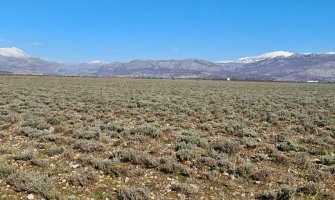 Plantaža Ujkić ima problema sa plasmanom, na čekanju 400 000 litara vina u rinfuzu, 30 tona pelina, 300 tona smilja