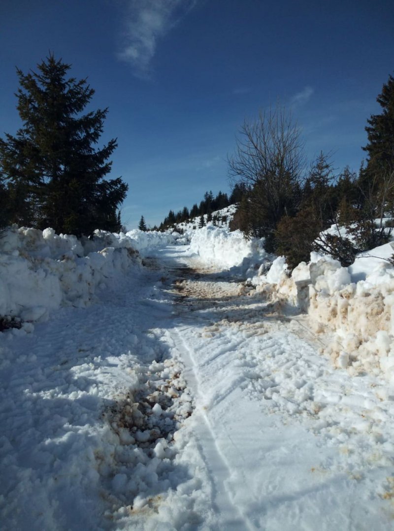 1463274102082530243221628883487867146060818n