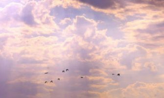 Sunčana nedjelja sa vjetrom, do 18 stepeni