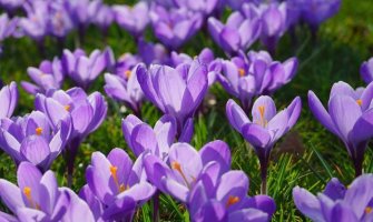 Kako nas vrijeme očekuje prvog martovskog dana