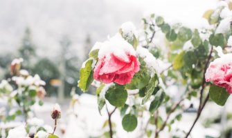 Danas počinje proljeće, sjever pod snijegom 