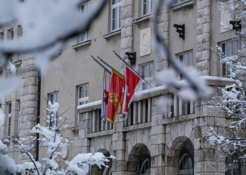 PCTdanzalosti2203212