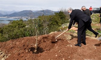 Krivokapić zasadio maslinu u Tivtu u spomen na žrtve koronavirusa: Da čuvamo jedni druge