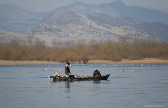 Pogrešan Piperović u saopštenju osumnjičen za krivolov, izvinjenje NPCGa
