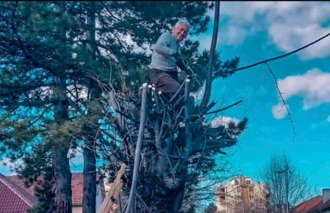 Deda Ljubo iz Berana sa 90 godina potkresuje lipu