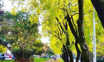 Bulevar Svetog Petra Cetinjskog  u PG na listi 49 najmagičnijih svjetskih ulica 