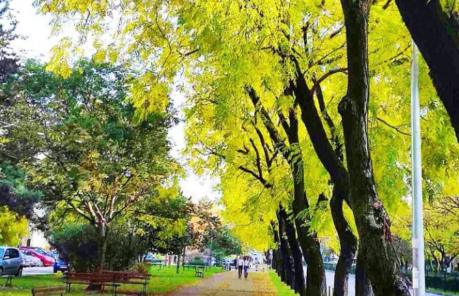 Bulevar Svetog Petra Cetinjskog  u PG na listi 49 najmagičnijih svjetskih ulica 