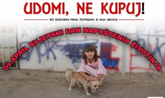 NVO Prijatelji životinja PG prikupljaju pomoć za sve nezbrinute životinje, možete i vi pomoći