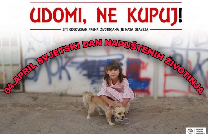 NVO Prijatelji životinja PG prikupljaju pomoć za sve nezbrinute životinje, možete i vi pomoći