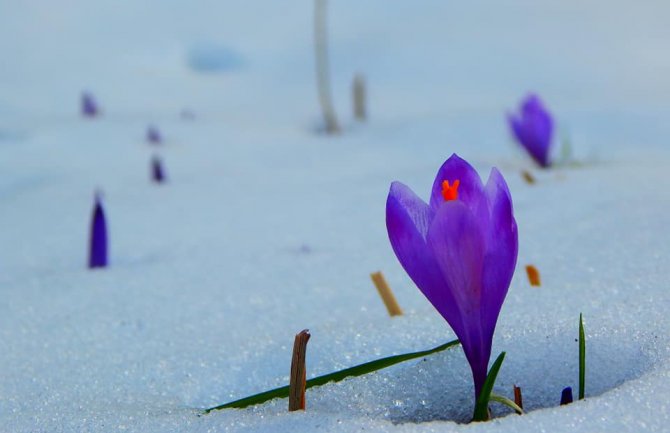 Poslijepodne kiša, na sjeveru snijeg