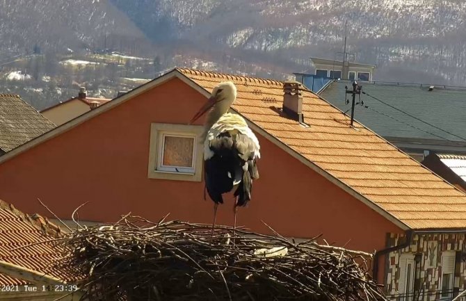 Stigle rode u Berane (VIDEO)