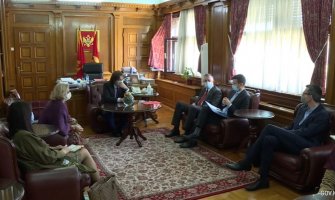 Turisti sa kruzera u CG će moći da uđu sa PCR testom