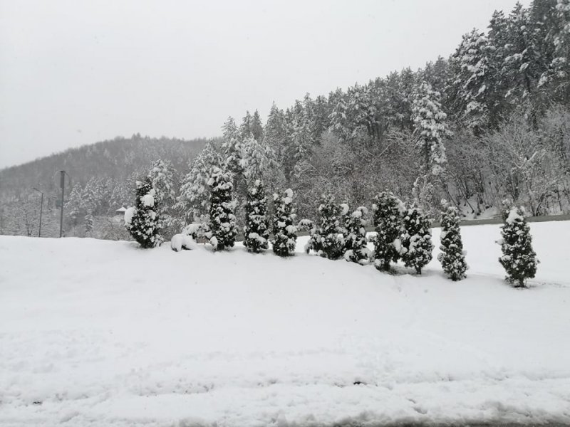 1698235561084568145865362273986259027495718n