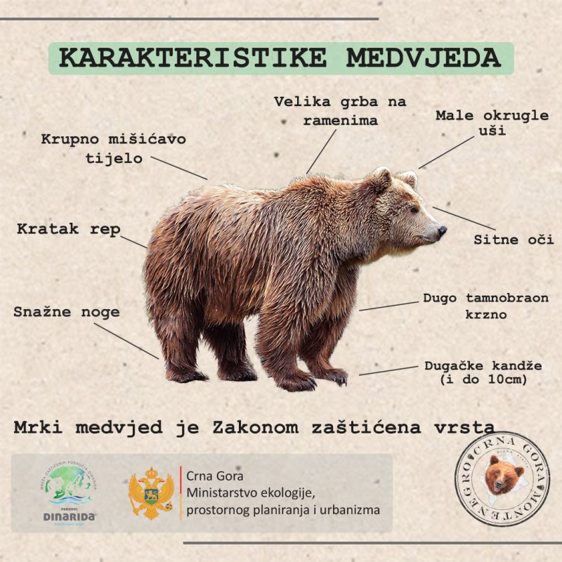 Medainfografik11080x1080