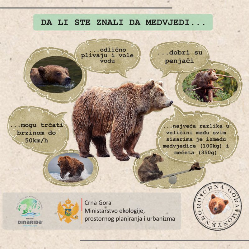 Medainfografik41080x1080