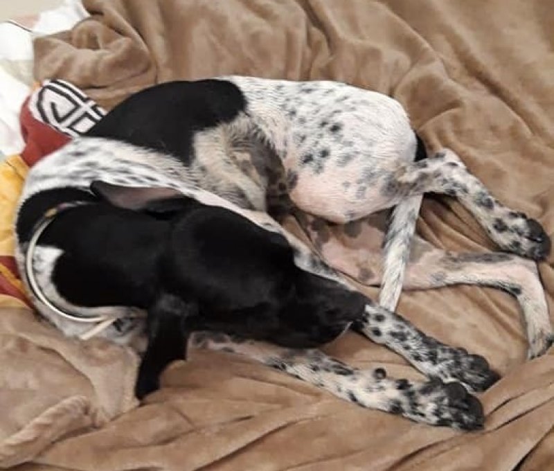 17377583038791812754907615879041304616270277n