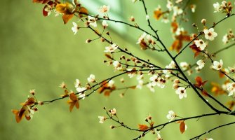 Oblačno i suvo, do 17 stepeni