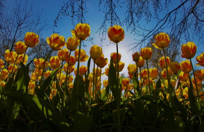 Promjenljivo oblačno, ponegdje kiša 