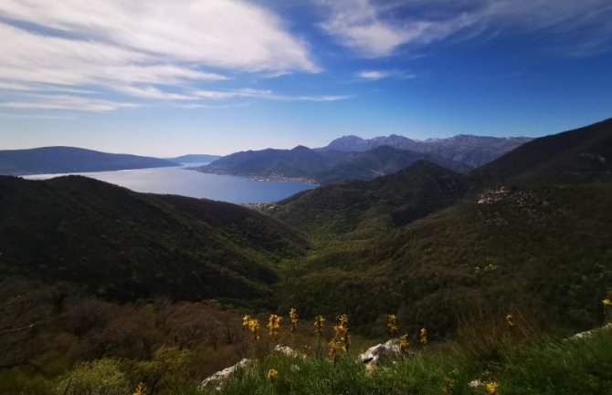 Otpočeo postupak proglašenja brda Vrmac zaštićenim prirodnim dobrom