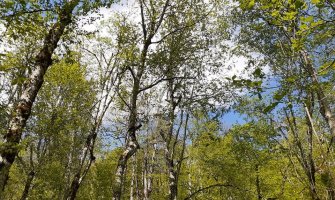 Evo kakvo će vrijeme obilježiti početak sedmice