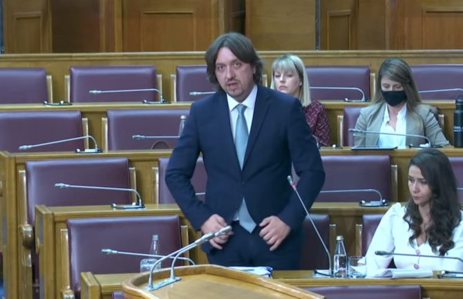 Sekulović: Predlog zakona o unutrašnjim poslovima reformski i evropski zakon koji stvari pomjera napred