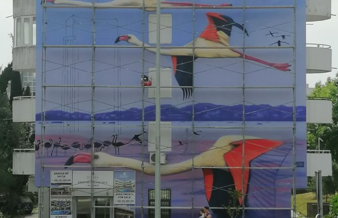 Dvije godine od proglašenja Ulcinjske solane zaštićenim područjem, Ulcinjanima na poklon mural