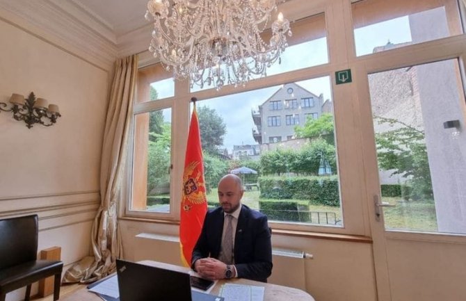 Radulović: Regionalna saradnja najmoćniji alat u saniranju posljedica COVID-19