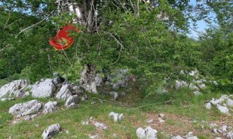 Prijestonica pokrenula proceduru za postavljanje spomen ploče porodici Zvicer