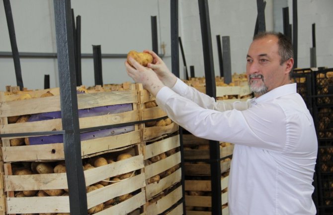 Stijović obišao proizvođače: Izuzetan prinos krompira i lubenice, potrebna pomoć zbog viškova