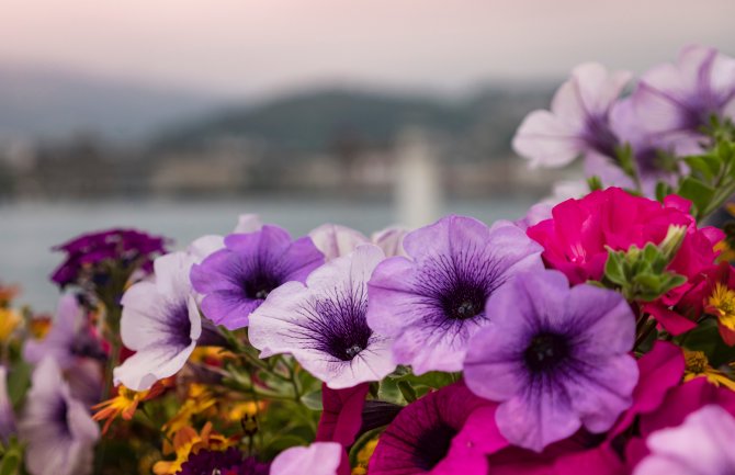 Promjenljivo, mjestimično kiša i pljuskovi