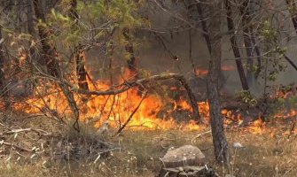 Požar u podgoričkom naselju Zelenika pod kontrolom, vatrogasci na terenu
