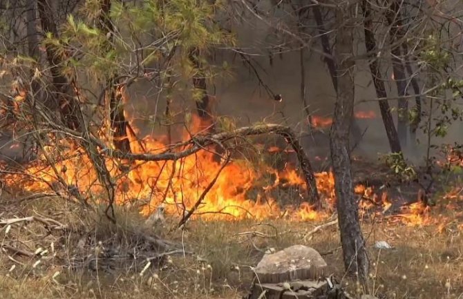 Požar u podgoričkom naselju Zelenika pod kontrolom, vatrogasci na terenu