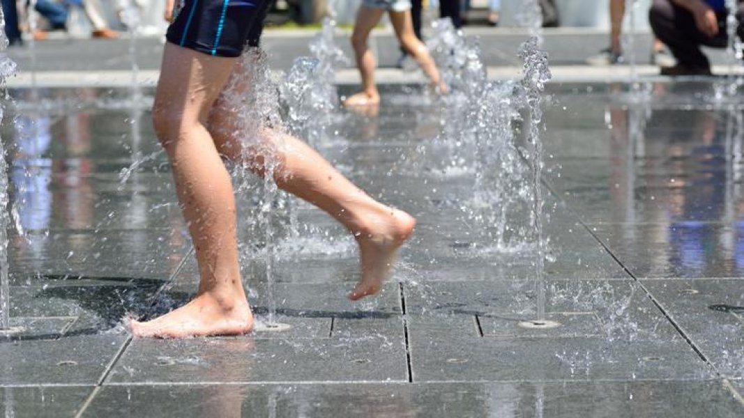 acd6cbe1852b5ca4e2a2