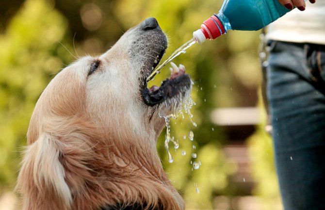 Toplotni talas i velike vrućine će trajati do kraja jula, noću 25 stepeni