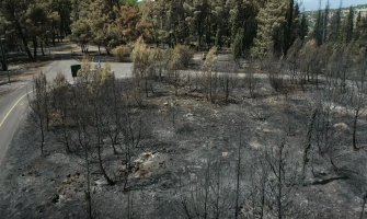 Gorica nakon požara, snimak iz vazduha (Video)