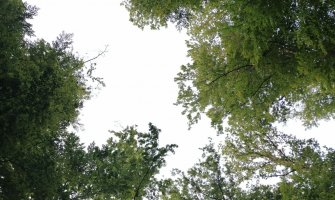 Sjutra pretežno sunčano i toplo, do 35 stepeni